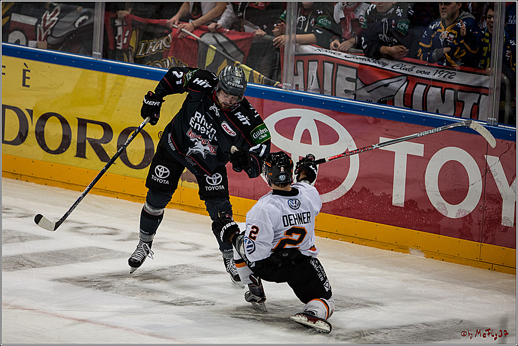 Koelner Haie - Grizzlys Wolfsburg, 16.10.2016, 16.10.2016